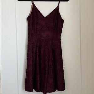 NWT Plum Skater Mini Dress